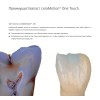 Ceramotion Paste 2D body-A 3г - Материал керамический для облицовки стоматологических реставраций Dentaurum (Германия)