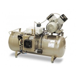 DK50 2X2V/110 - безмасляный компрессор